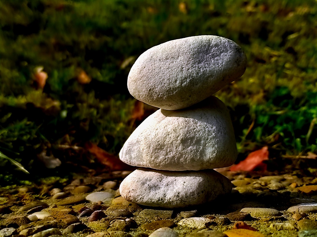 Photo interpret balanța